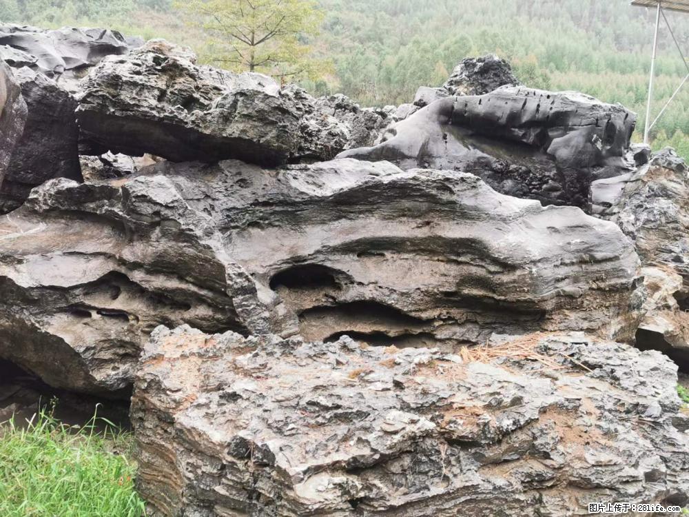 风景石、假山石大量有货,有需要的欢迎联系 - 新手上路 - 阜阳生活社区 - 阜阳28生活网 fy.28life.com
