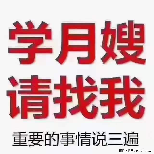 为什么要学习月嫂,育婴师? - 新手上路 - 阜阳生活社区 - 阜阳28生活网 fy.28life.com