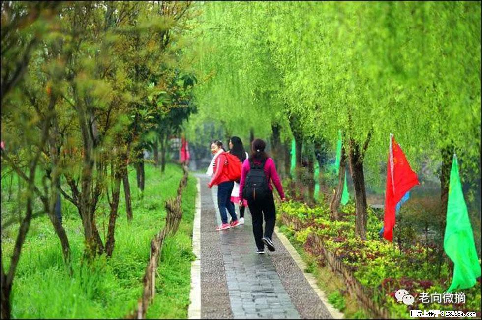 【春天,广西桂林灌阳县向您发出邀请!】江口老街又逢春 - 游山玩水 - 阜阳生活社区 - 阜阳28生活网 fy.28life.com