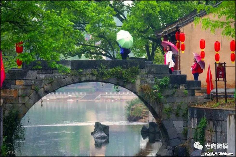 【春天,广西桂林灌阳县向您发出邀请!】江口老街又逢春 - 游山玩水 - 阜阳生活社区 - 阜阳28生活网 fy.28life.com