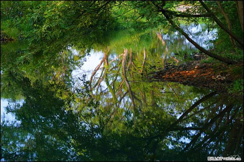 【春天,广西桂林灌阳县向您发出邀请!】熊家寨湿地公园 - 游山玩水 - 阜阳生活社区 - 阜阳28生活网 fy.28life.com