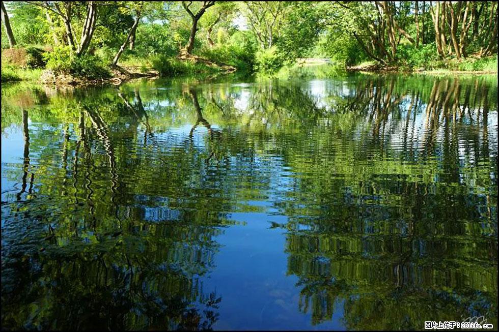 【春天,广西桂林灌阳县向您发出邀请!】熊家寨湿地公园 - 游山玩水 - 阜阳生活社区 - 阜阳28生活网 fy.28life.com