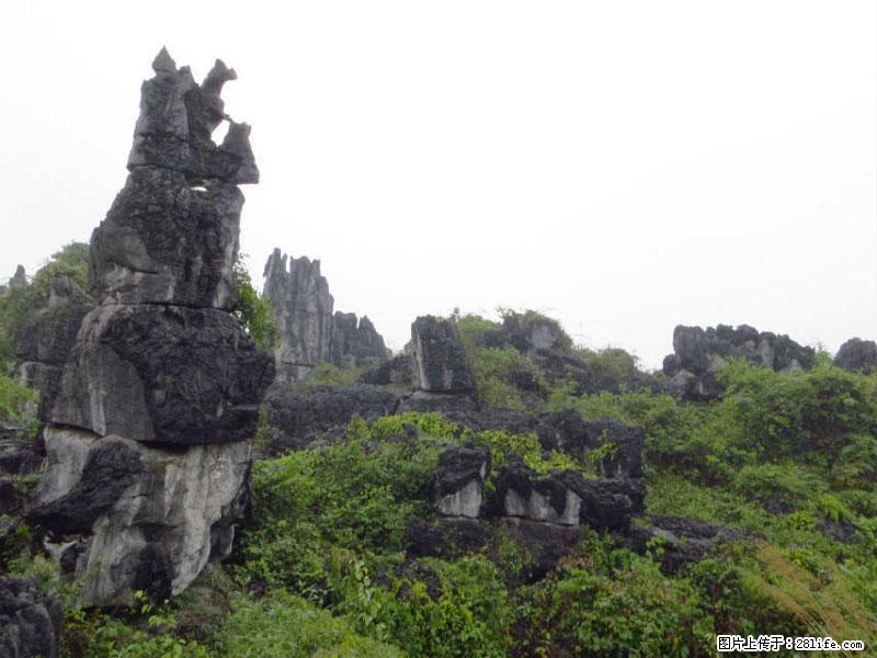 桂林旅游名城景点:灌阳文市石林 - 游山玩水 - 阜阳生活社区 - 阜阳28生活网 fy.28life.com
