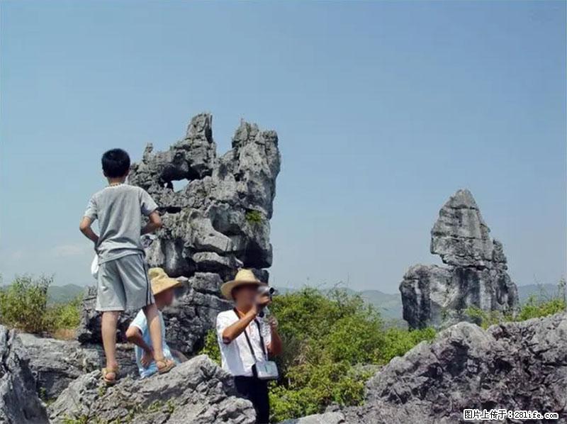 桂林旅游名城景点:灌阳文市石林 - 游山玩水 - 阜阳生活社区 - 阜阳28生活网 fy.28life.com