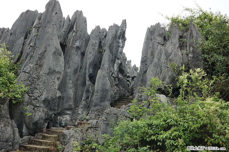 桂林旅游名城景点:灌阳文市石林 - 游山玩水 - 阜阳生活社区 - 阜阳28生活网 fy.28life.com