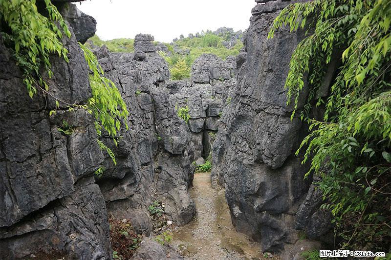 桂林旅游名城景点:灌阳文市石林 - 游山玩水 - 阜阳生活社区 - 阜阳28生活网 fy.28life.com