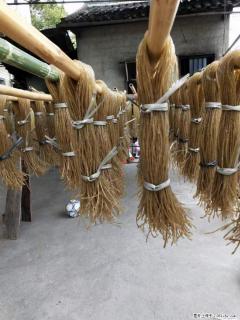 【灌阳正宗红薯粉】美女家里自己做的,干净卫生,假一赔十,价格合理,抢购电话:13737312895 - 阜阳28生活网 fy.28life.com