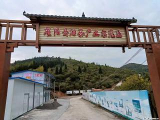 【灌阳县油茶产业示范区】一个有着充实的精神生活的人,对待身外之物自会有一种淡泊的态度 - 阜阳28生活网 fy.28life.com