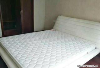 易景国际 3室1厅1卫 干净整洁 采光很好 适合这个季节居住 - 阜阳28生活网 fy.28life.com