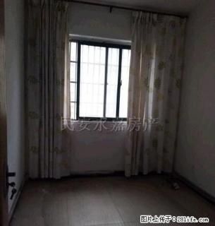 万达对面 南北通透 温馨舒适 采光非常好 - 阜阳28生活网 fy.28life.com