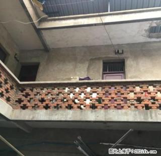 金鹰巷南头路口四合院往外出租适合开饭店 - 阜阳28生活网 fy.28life.com