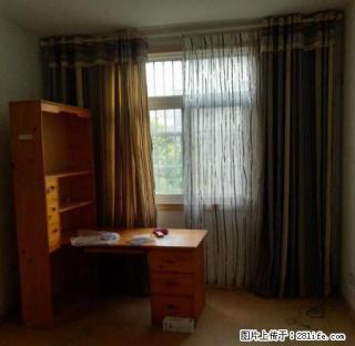 鼓楼对面 一人巷商业街大房间 3室2厅2卫 - 阜阳28生活网 fy.28life.com