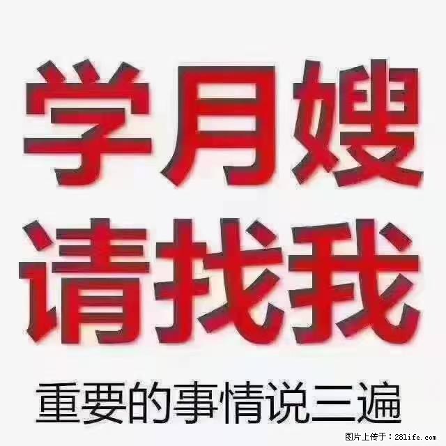 【招聘】月嫂,上海徐汇区 - 职场交流 - 阜阳生活社区 - 阜阳28生活网 fy.28life.com