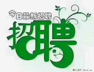 上海青浦区招仓管 - 阜阳28生活网 fy.28life.com