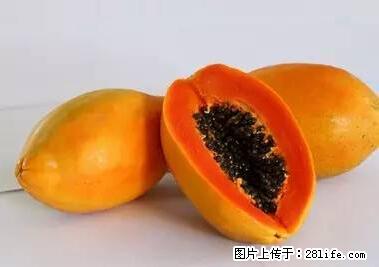 晕车、脚气、牙齿变黄、皮肤粗糙?学会这些三分钟搞定! - 阜阳生活资讯 - 阜阳28生活网 fy.28life.com