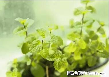 晕车、脚气、牙齿变黄、皮肤粗糙?学会这些三分钟搞定! - 阜阳生活资讯 - 阜阳28生活网 fy.28life.com