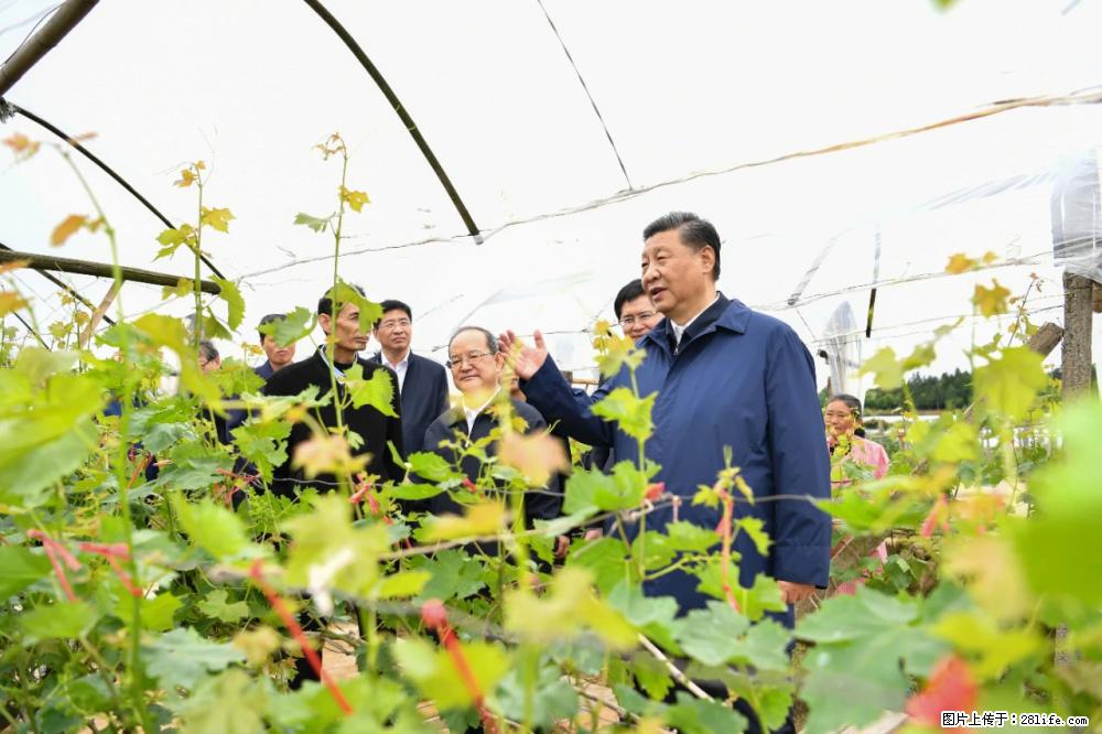 习近平赴广西考察调研 - 阜阳生活资讯 - 阜阳28生活网 fy.28life.com