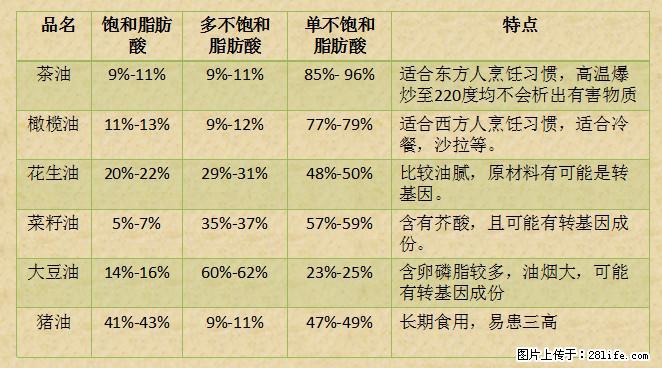 揭秘茶油的5大核心营养成分!被称为人体健康的“守护盾”! - 阜阳生活资讯 - 阜阳28生活网 fy.28life.com