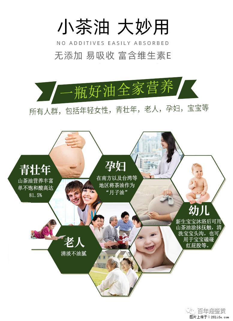 世界没有真相,只有认知,最好的食用油是中国的山茶油! - 阜阳生活资讯 - 阜阳28生活网 fy.28life.com