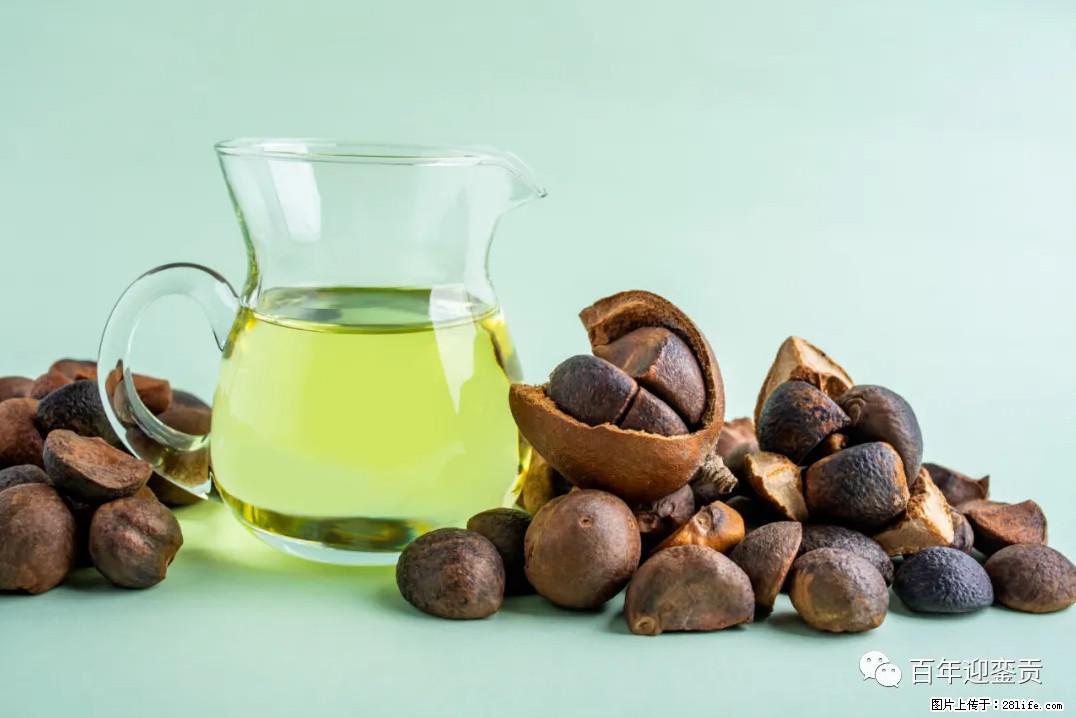 世界没有真相，只有认知，最好的食用油是中国的山茶油！ - 阜阳生活资讯 - 阜阳28生活网 fy.28life.com