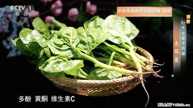 比牛奶补钙还厉害!凉血解毒、稳血糖...这菜冬天必吃,很多人却当草 - 阜阳生活资讯 - 阜阳28生活网 fy.28life.com