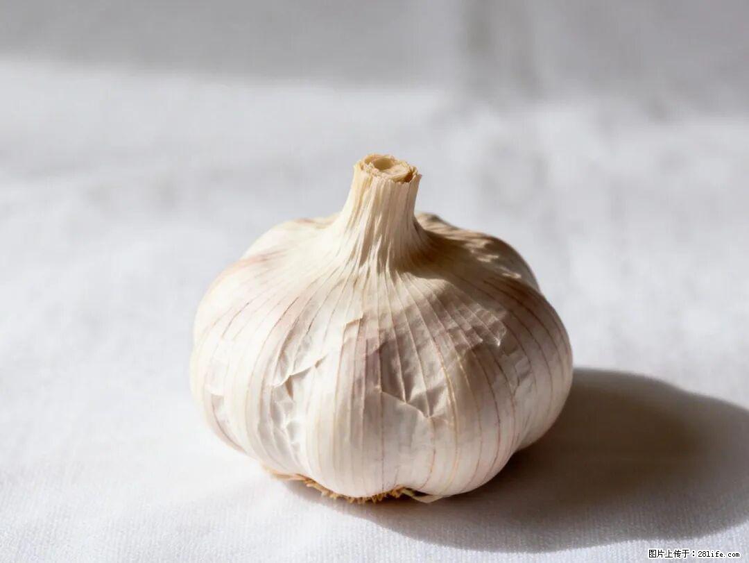 关于大蒜，除了“天然抗生素”，这4个谣言更该警惕! - 阜阳生活资讯 - 阜阳28生活网 fy.28life.com