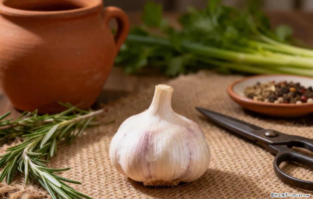 关于大蒜，除了“天然抗生素”，这4个谣言更该警惕! - 阜阳生活资讯 - 阜阳28生活网 fy.28life.com