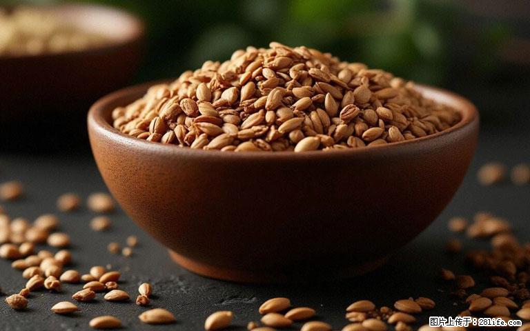 这三苦是三高“克星”，心血管干净不易堵！每天吃一点，指标慢慢降下来~ - 阜阳生活资讯 - 阜阳28生活网 fy.28life.com