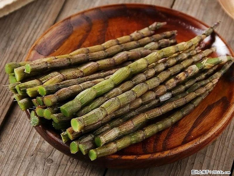铁皮石斛的作用与功能主治 - 阜阳生活资讯 - 阜阳28生活网 fy.28life.com